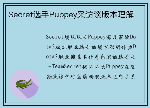 Secret选手Puppey采访谈版本理解