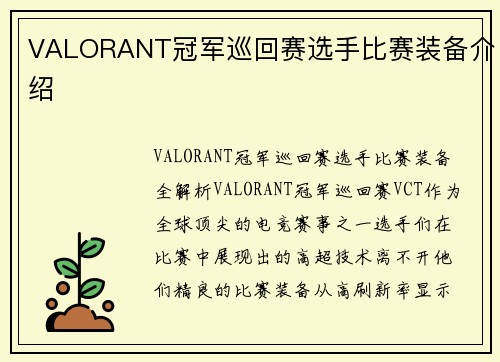 VALORANT冠军巡回赛选手比赛装备介绍