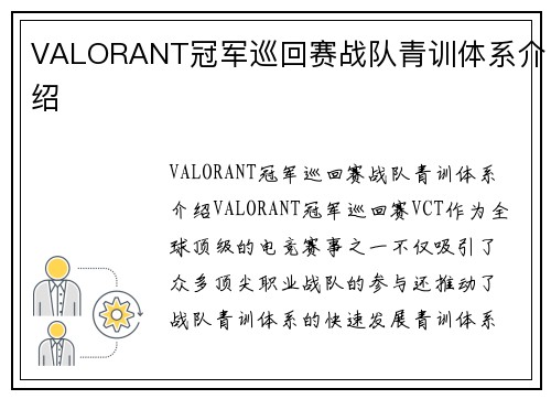VALORANT冠军巡回赛战队青训体系介绍