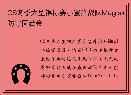 CS冬季大型锦标赛小蜜蜂战队Magisk防守固若金